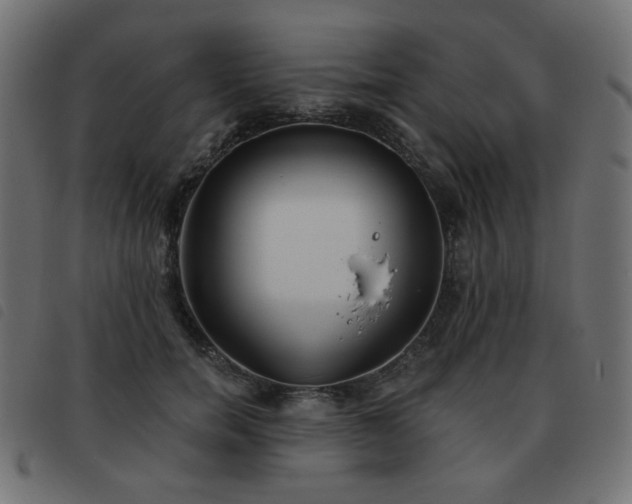X0000093480750200710121445