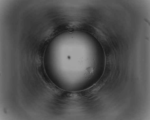 X0000093480751200710121445