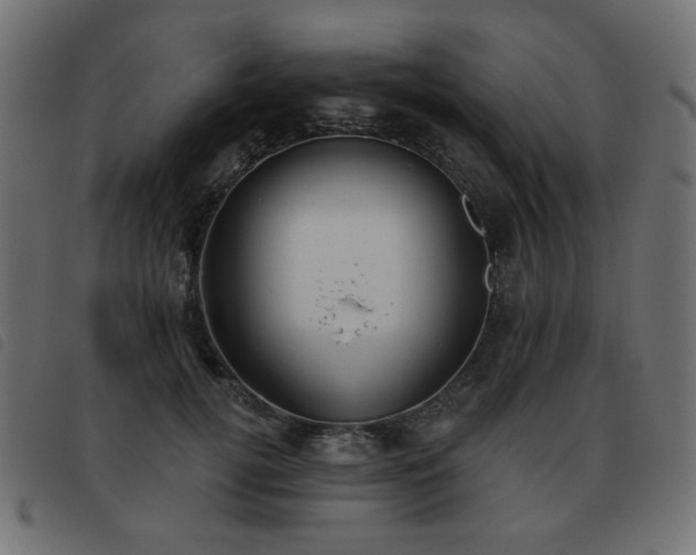 X0000093480752200710121445
