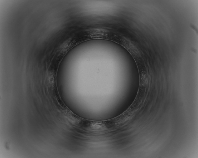 X0000093480753200710121445
