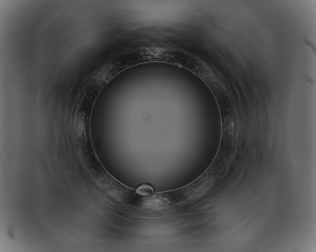 X0000093480754200710121445