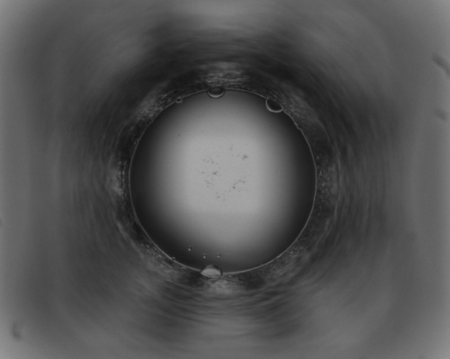 X0000093480755200710121445