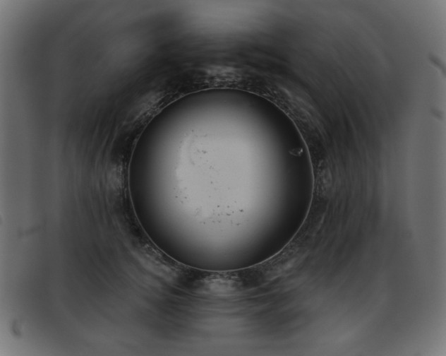 X0000093480756200710121445