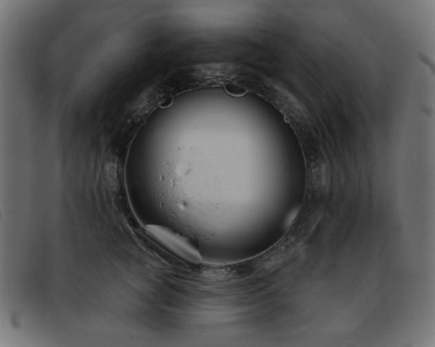 X0000093480757200710121445