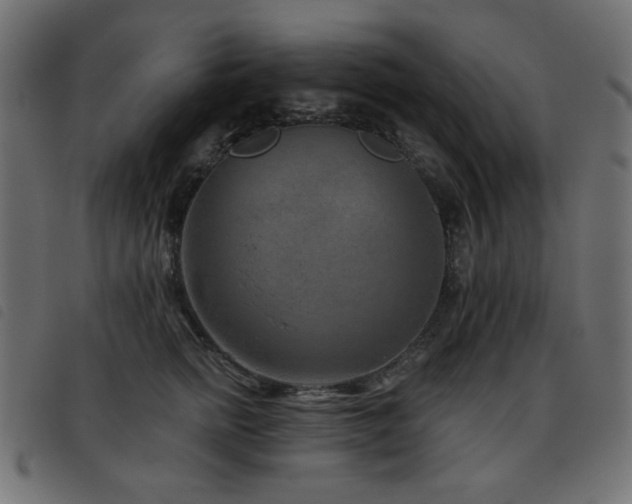 X0000093480758200710121445