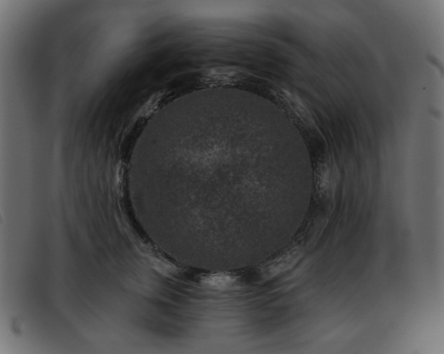 X0000093480759200710121445