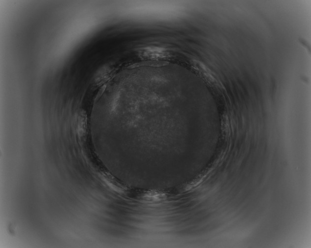 X0000093480760200710121445