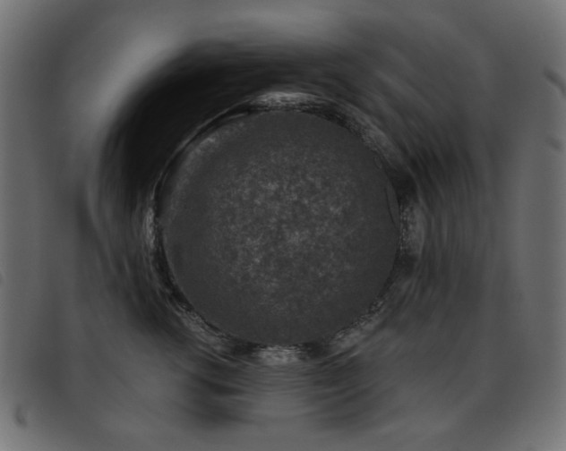 X0000093480762200710121445