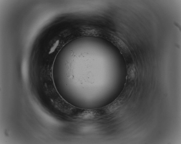 X0000093480764200710121445