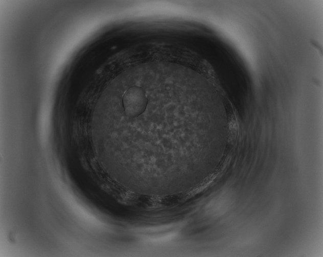 X0000093480765200710121445