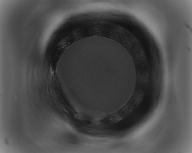 X0000093480766200710121445