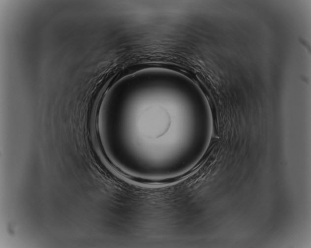 X0000093480769200710121445
