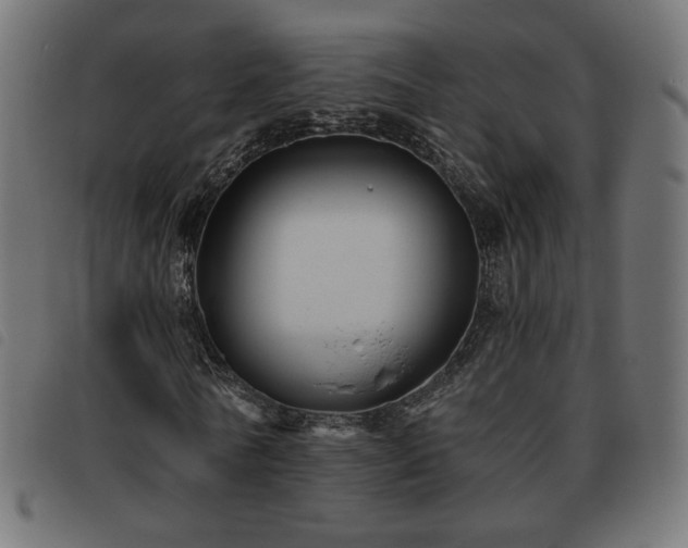 X0000093480770200710121445