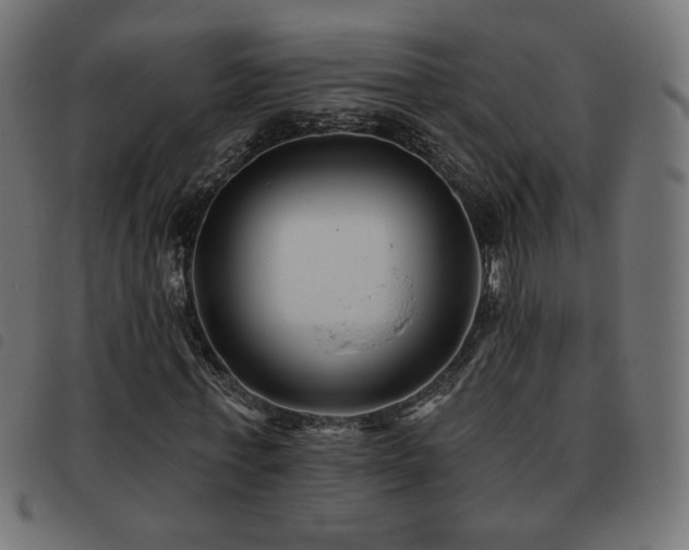 X0000093480771200710121445