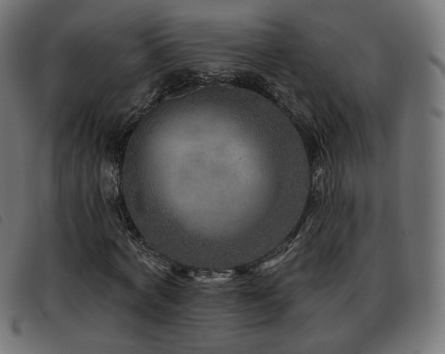 X0000093480772200710121445