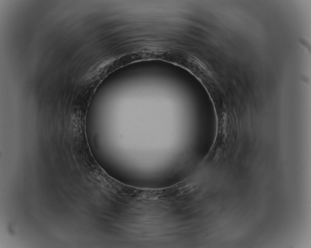 X0000093480773200710121445