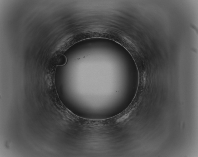X0000093480774200710121445