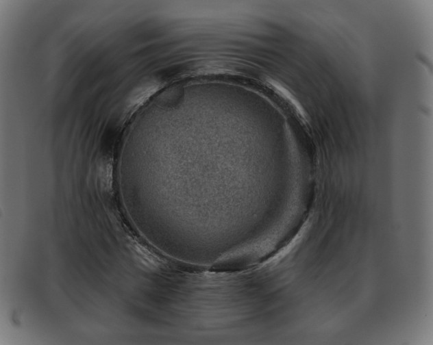 X0000093480777200710121445
