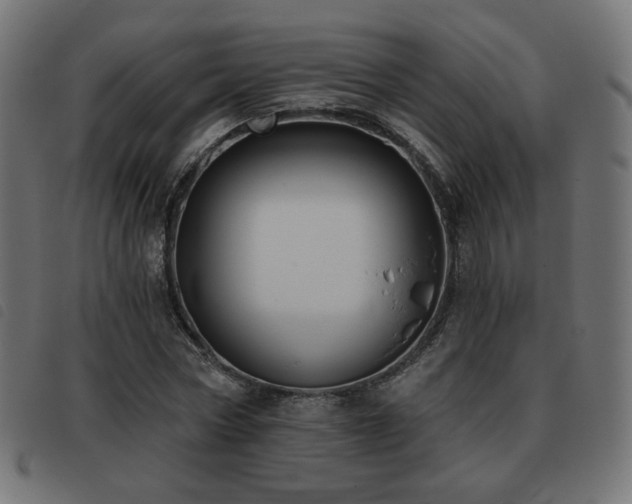 X0000093480778200710121445