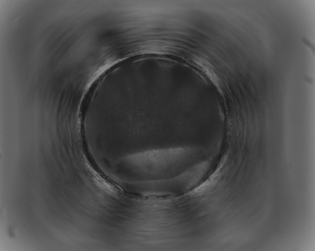 X0000093480779200710121445