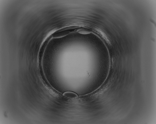X0000093480780200710121445