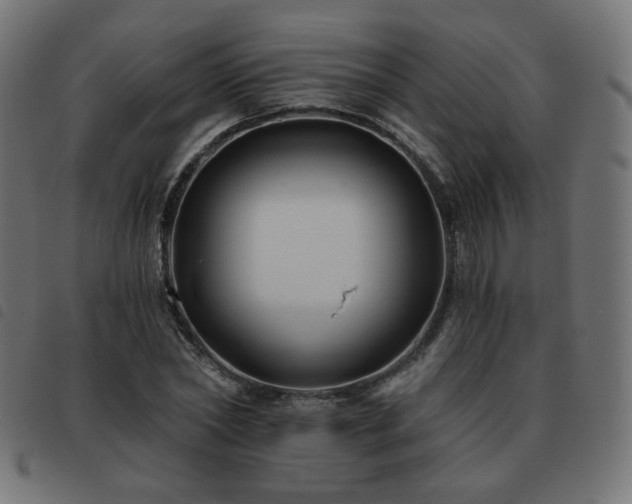 X0000093480782200710121445