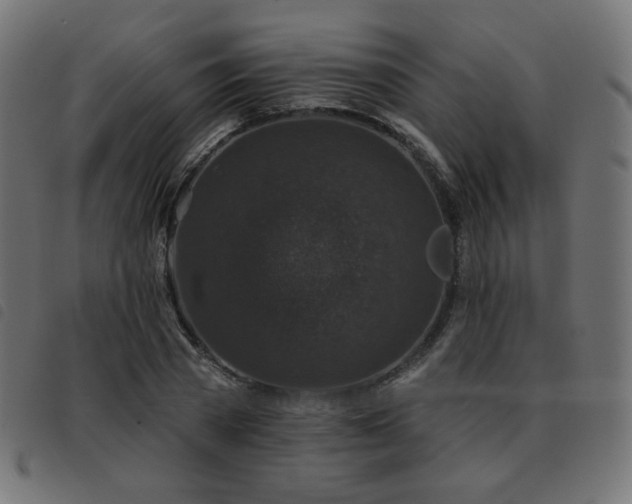 X0000093480785200710121445