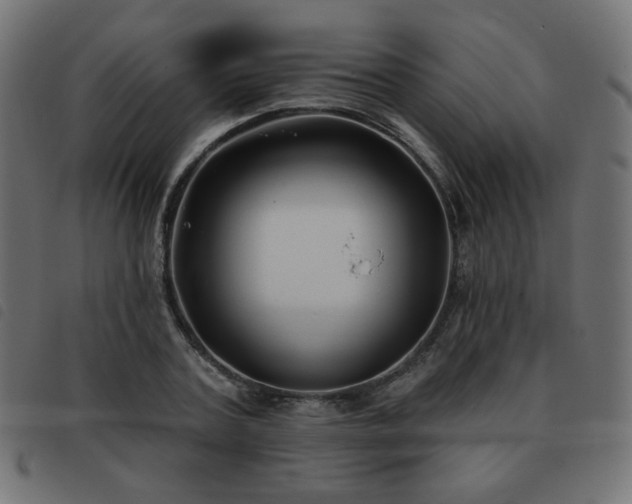 X0000093480787200710121445