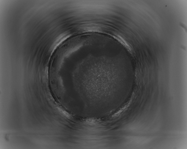 X0000093480790200710121445