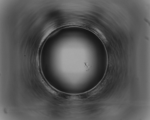 X0000093480796200710121444