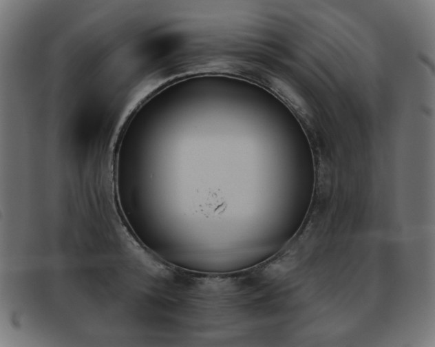 X0000093480800200710121444