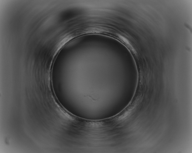 X0000093480802200710121444