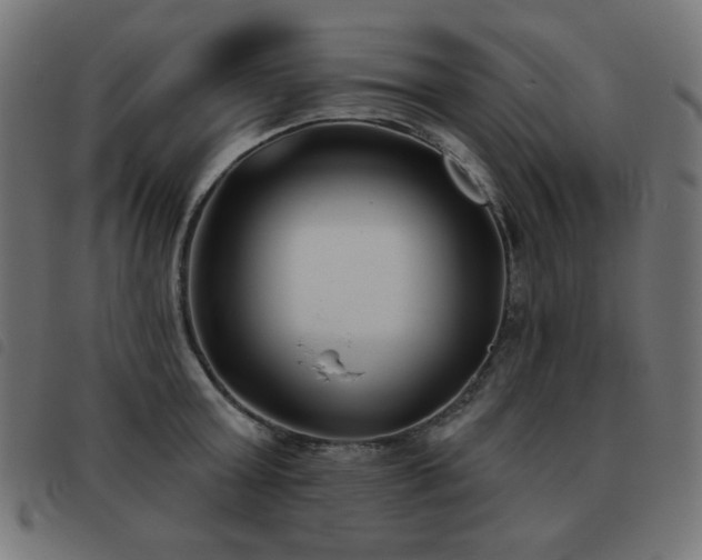 X0000093480803200710121444