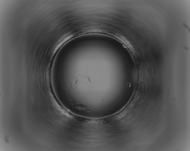 X0000093480806200710121444