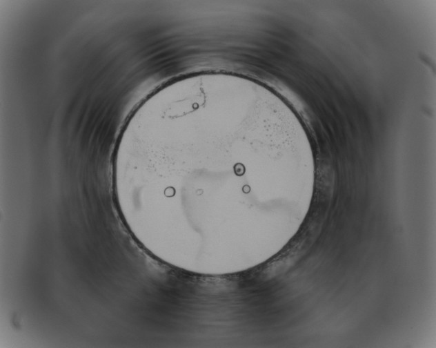 X0000093480807200710121444