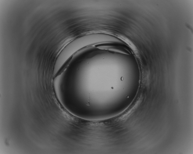 X0000093480809200710121444