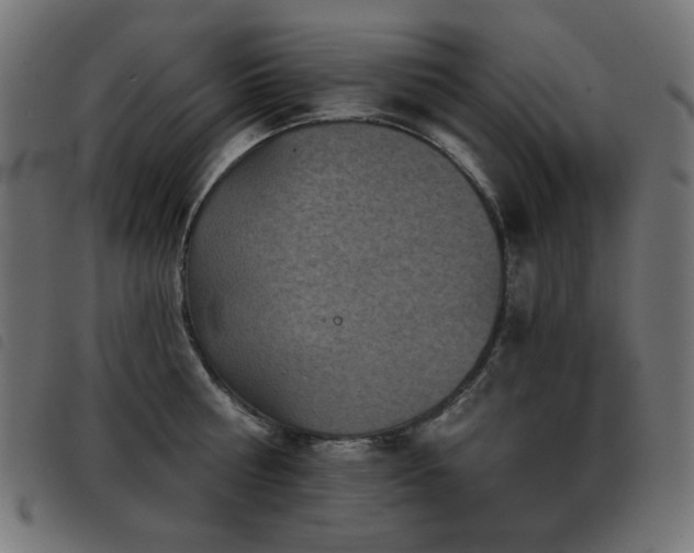 X0000093480810200710121444