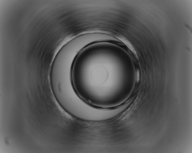 X0000093480813200710121444