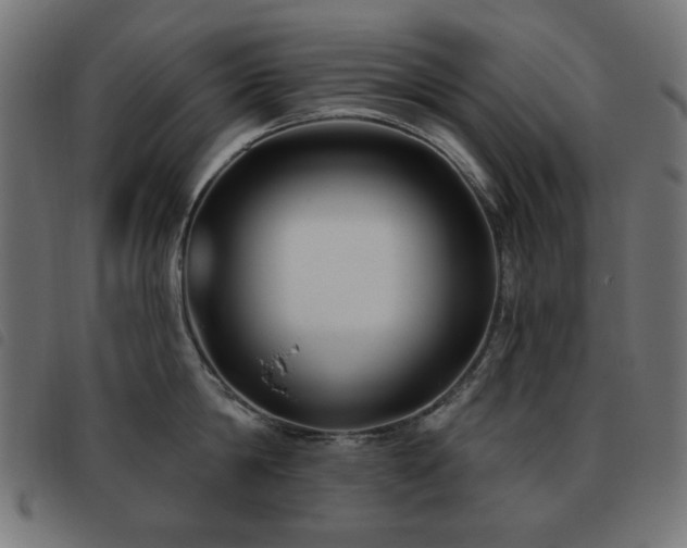 X0000093480814200710121444