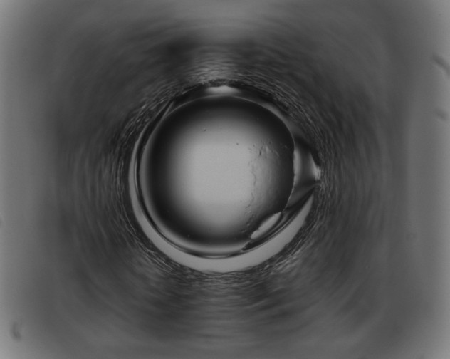 X0000093480818200710121443