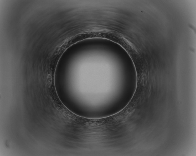 X0000093480821200710121444