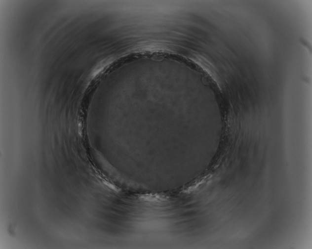 X0000093480823200710121444