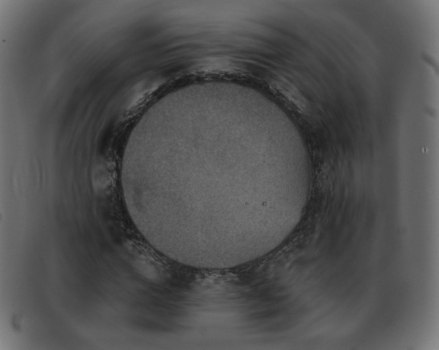 X0000093480824200710121444