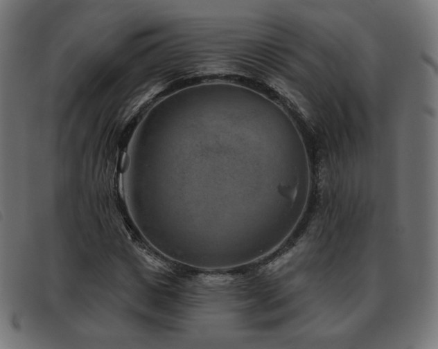 X0000093480825200710121444