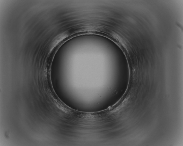 X0000093480827200710121444