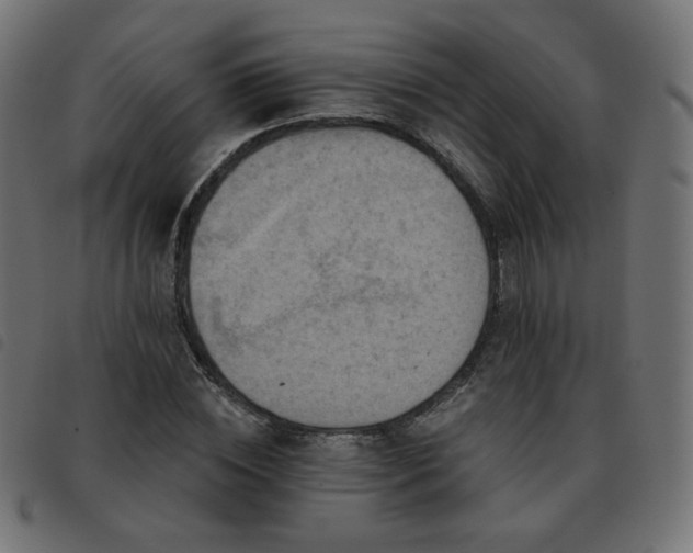 X0000093480828200710121444