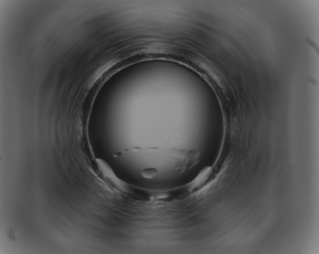 X0000093480829200710121444