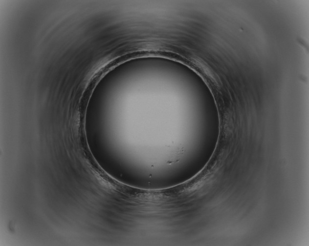X0000093480831200710121444