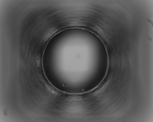 X0000093480833200710121444