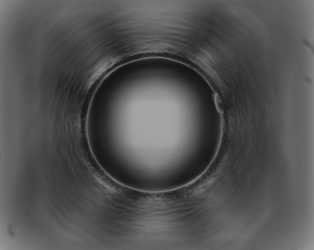 X0000093480834200710121444